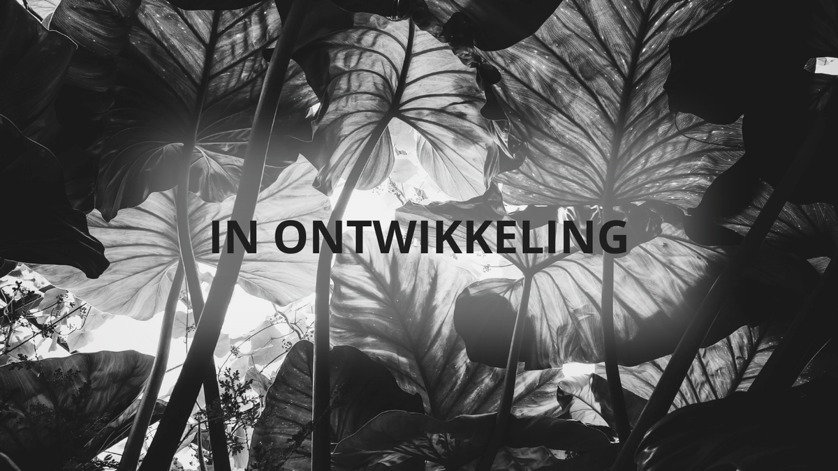 In ontwikkeling